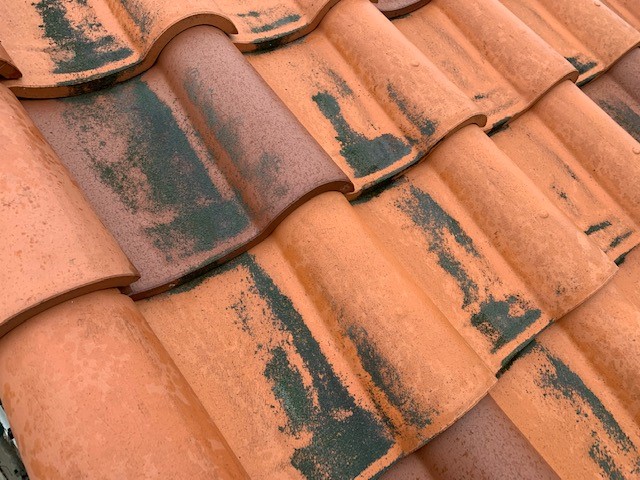 屋根が汚れる原因　屋根の汚れは放置して大丈夫？